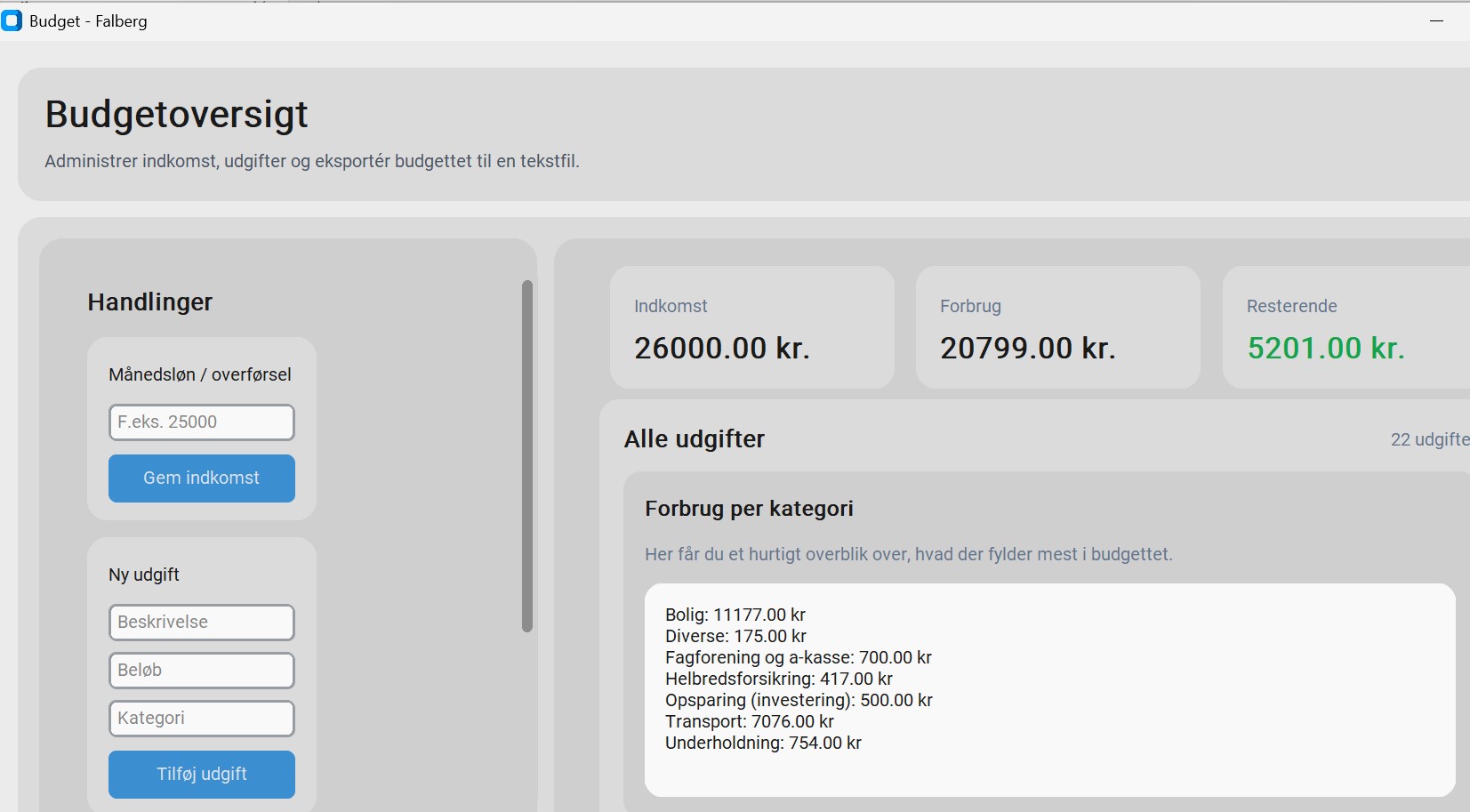 billede af budgetprogram